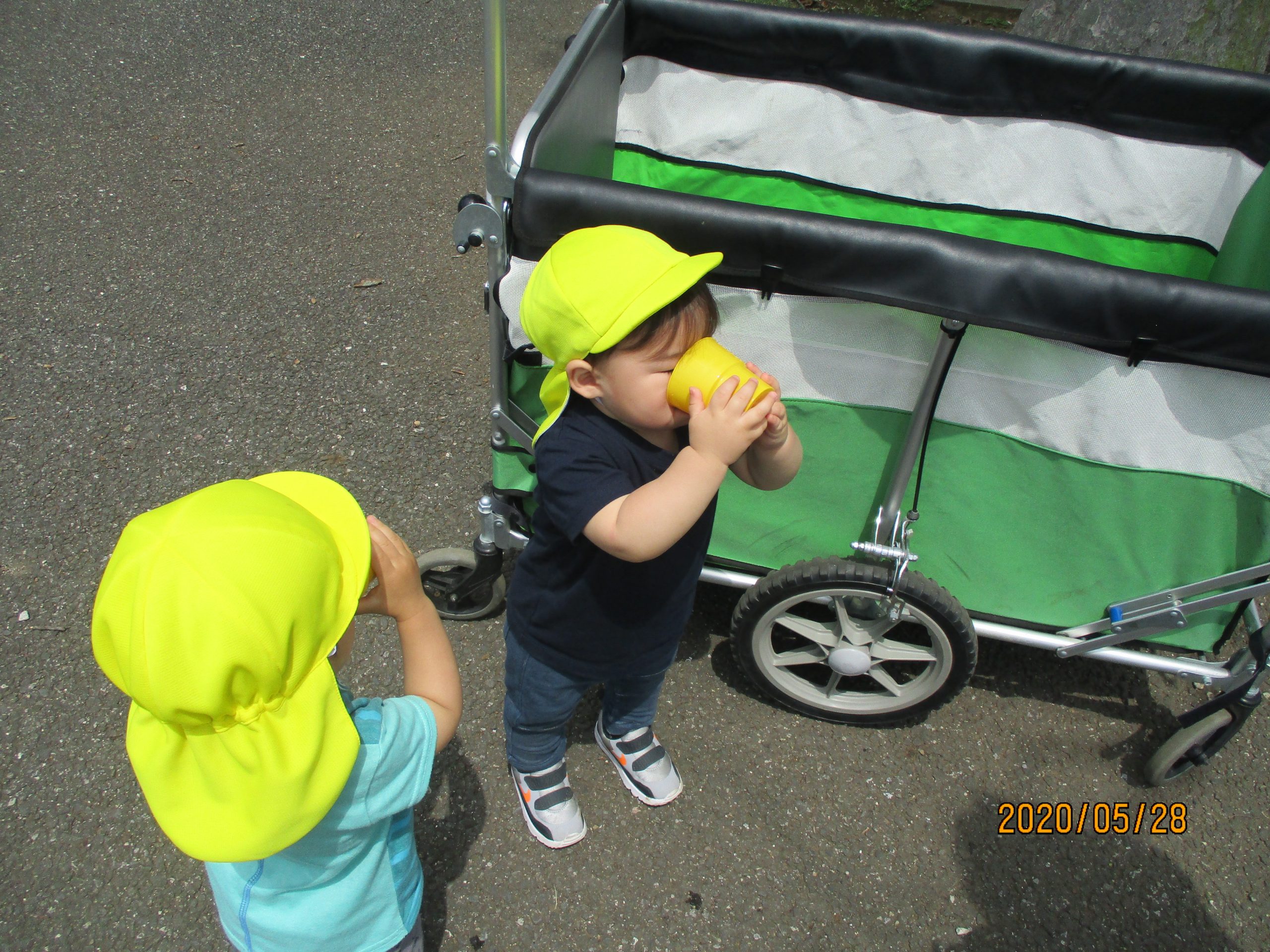 勝田台園 ５月の様子 富里や八千代 成田市の保育園はことり保育園へ 認可外保育もございます